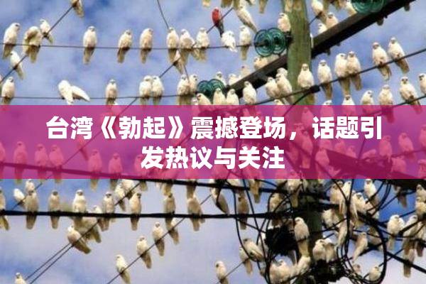 台湾《勃起》震撼登场，话题引发热议与关注