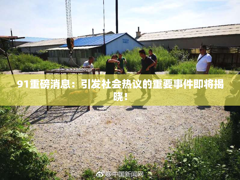 91重磅消息：引发社会热议的重要事件即将揭晓！