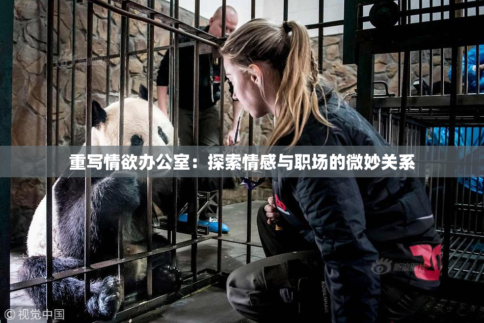 重写情欲办公室：探索情感与职场的微妙关系