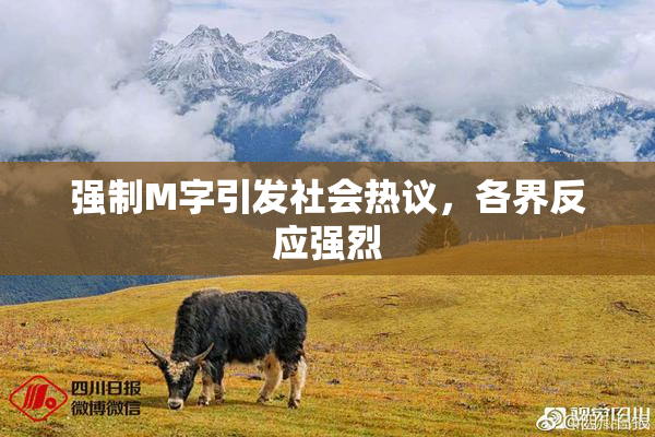 强制M字引发社会热议，各界反应强烈