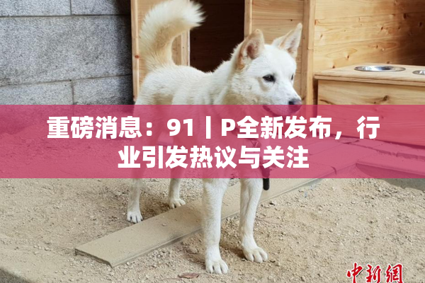 重磅消息：91丨P全新发布，行业引发热议与关注