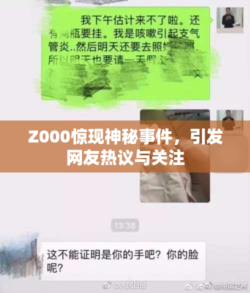 Z000惊现神秘事件，引发网友热议与关注