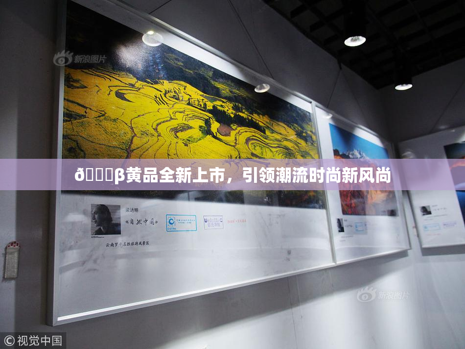 🔞β黄品全新上市，引领潮流时尚新风尚