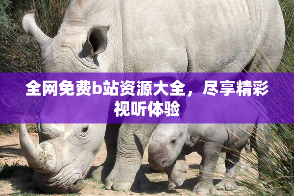 全网免费b站资源大全，尽享精彩视听体验