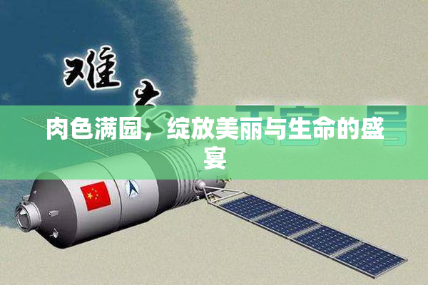 肉色满园，绽放美丽与生命的盛宴