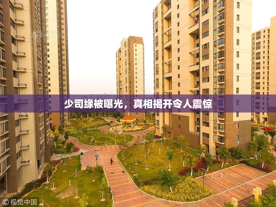 少司缘被曝光，真相揭开令人震惊