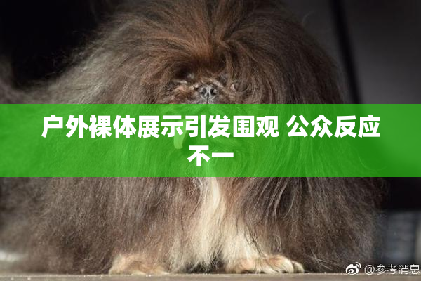 户外裸体展示引发围观 公众反应不一