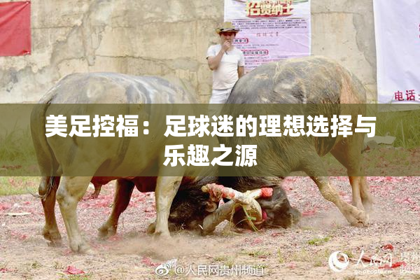 美足控福：足球迷的理想选择与乐趣之源