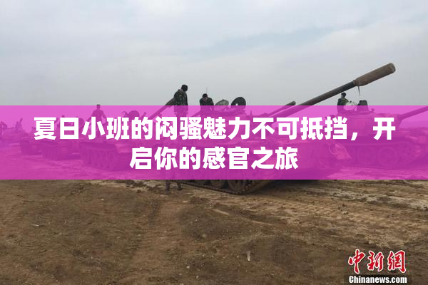 夏日小班的闷骚魅力不可抵挡，开启你的感官之旅