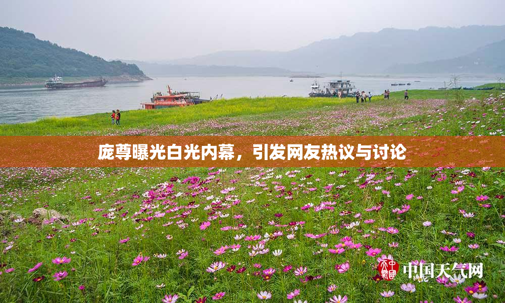 庞尊曝光白光内幕，引发网友热议与讨论