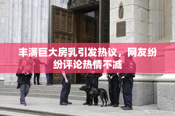 丰满巨大房乳引发热议，网友纷纷评论热情不减
