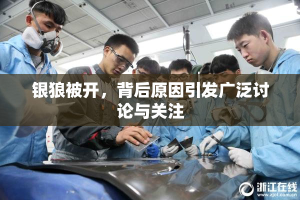 银狼被开，背后原因引发广泛讨论与关注