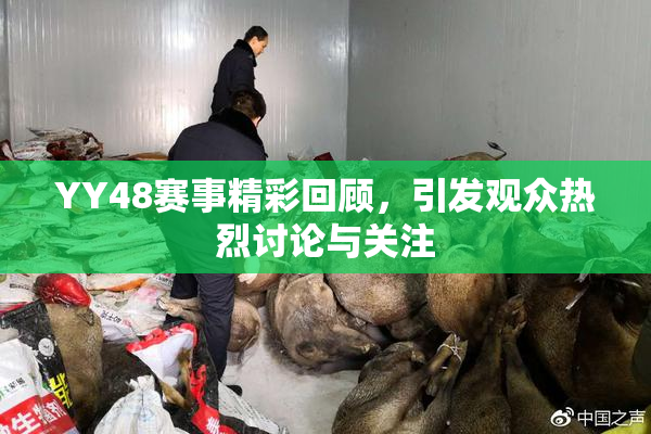 YY48赛事精彩回顾，引发观众热烈讨论与关注