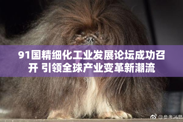 91国精细化工业发展论坛成功召开 引领全球产业变革新潮流