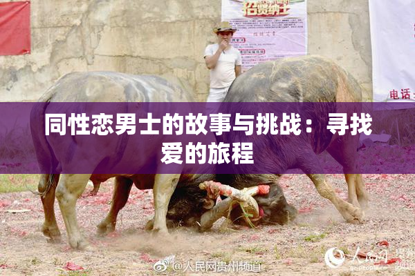 同性恋男士的故事与挑战：寻找爱的旅程