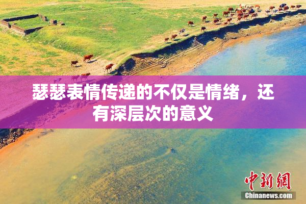 瑟瑟表情传递的不仅是情绪，还有深层次的意义