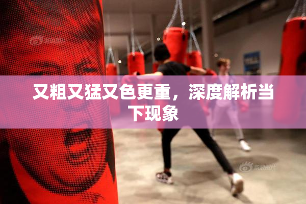 又粗又猛又色更重，深度解析当下现象