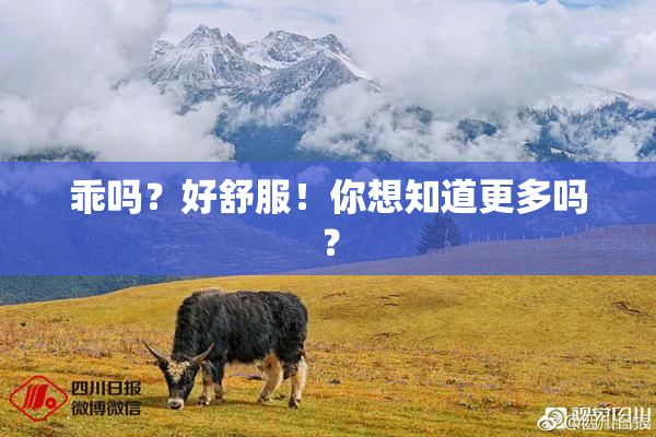 乖吗？好舒服！你想知道更多吗？
