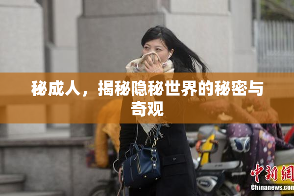 秘成人，揭秘隐秘世界的秘密与奇观