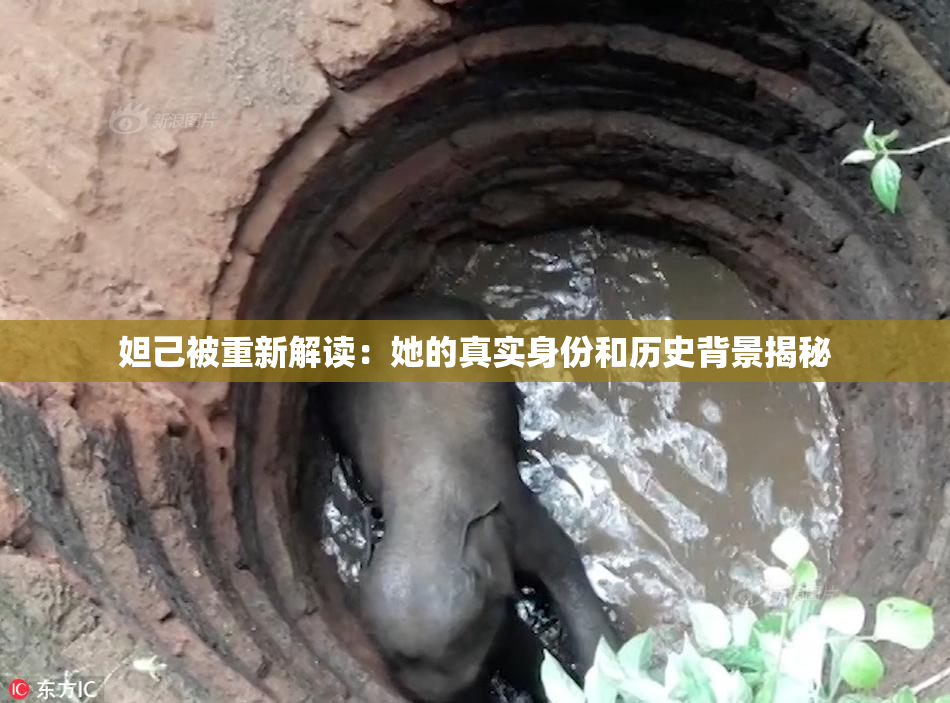 妲己被重新解读：她的真实身份和历史背景揭秘