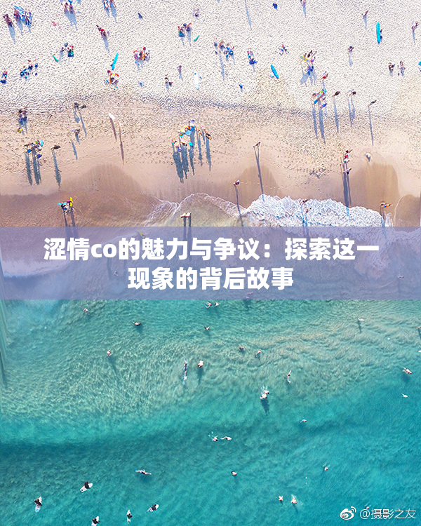 涩情co的魅力与争议：探索这一现象的背后故事