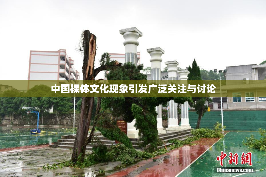 中国裸体文化现象引发广泛关注与讨论