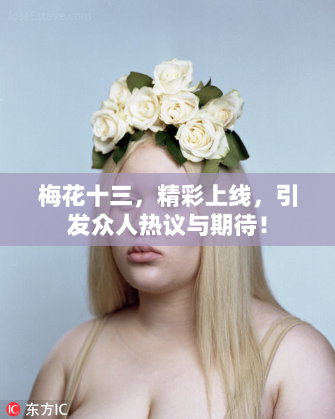 梅花十三，精彩上线，引发众人热议与期待！