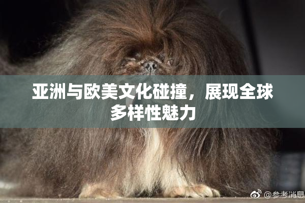 亚洲与欧美文化碰撞，展现全球多样性魅力
