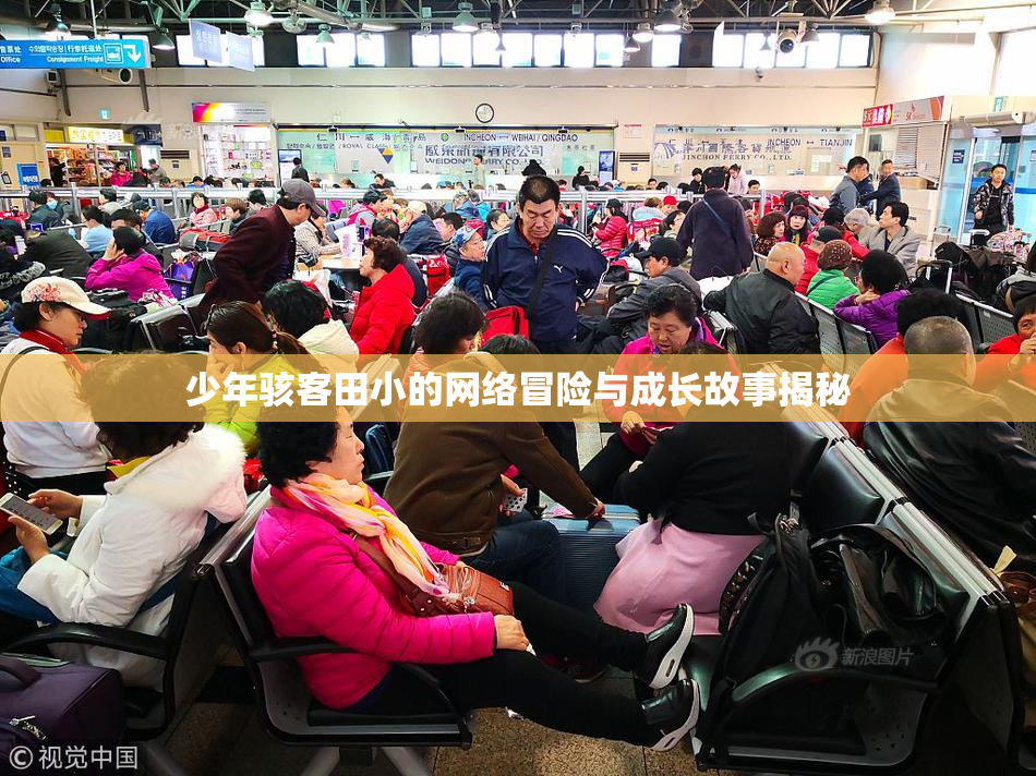 少年骇客田小的网络冒险与成长故事揭秘