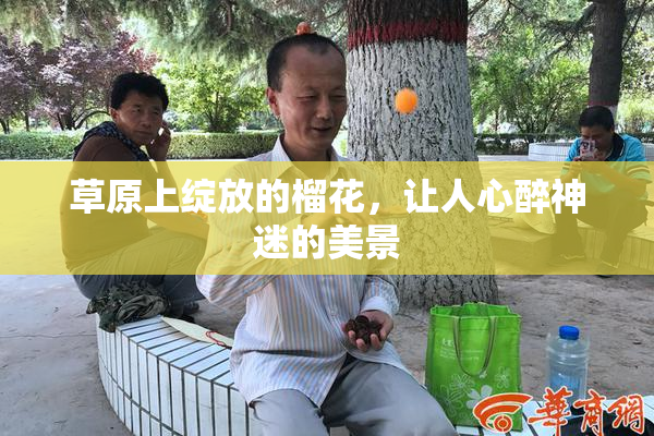 草原上绽放的榴花，让人心醉神迷的美景