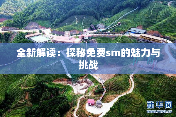全新解读：探秘免费sm的魅力与挑战