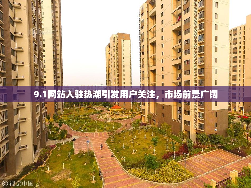 9.1网站入驻热潮引发用户关注，市场前景广阔