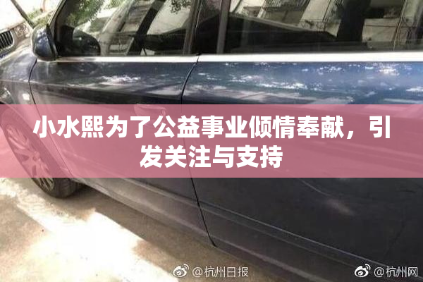 小水熙为了公益事业倾情奉献，引发关注与支持