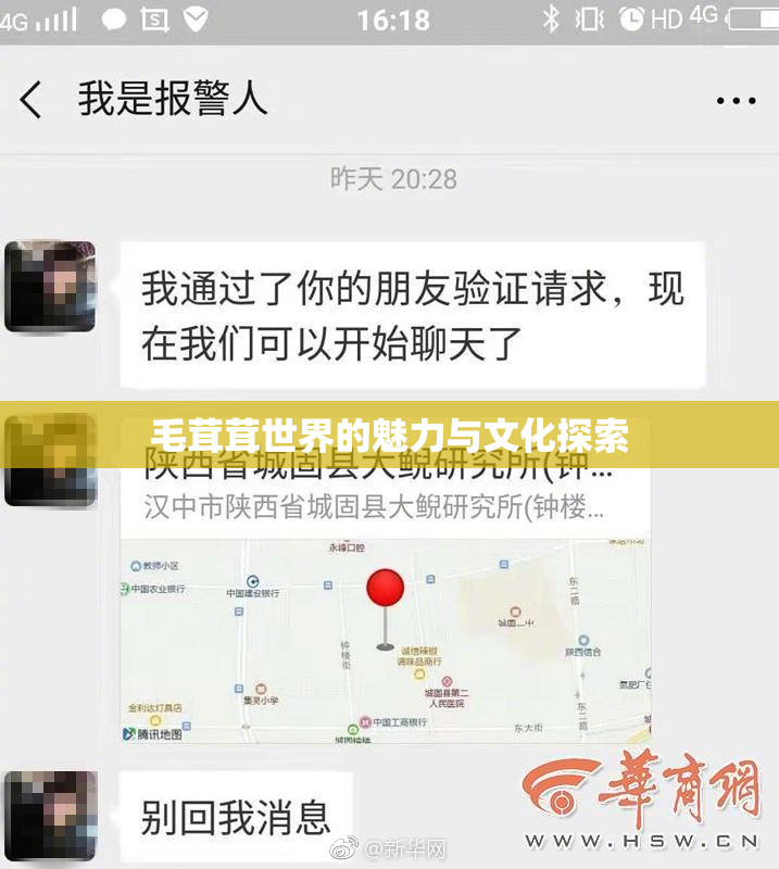 毛茸茸世界的魅力与文化探索