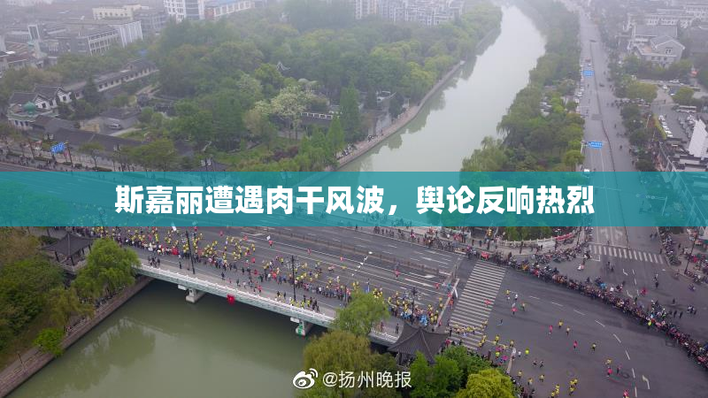 斯嘉丽遭遇肉干风波，舆论反响热烈