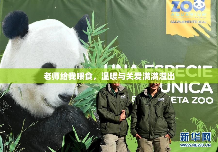 老师给我喂食，温暖与关爱满满溢出