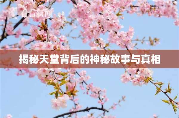 揭秘天堂背后的神秘故事与真相
