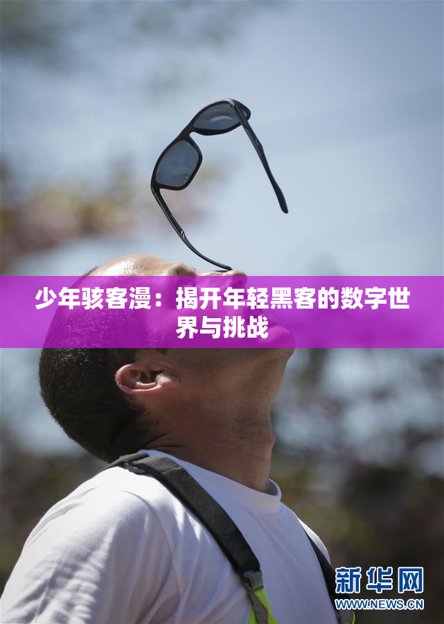 少年骇客漫：揭开年轻黑客的数字世界与挑战