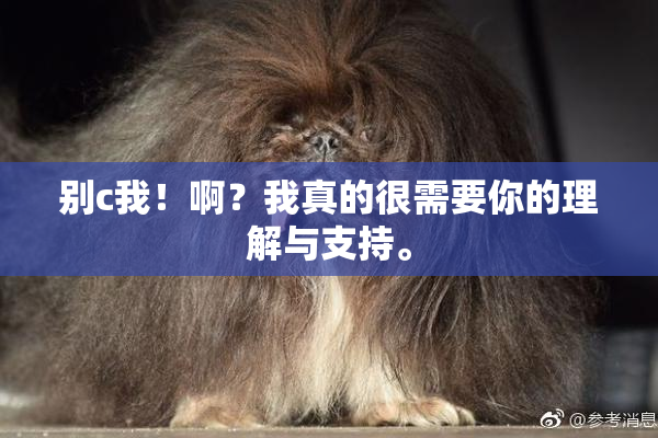 别c我！啊？我真的很需要你的理解与支持。