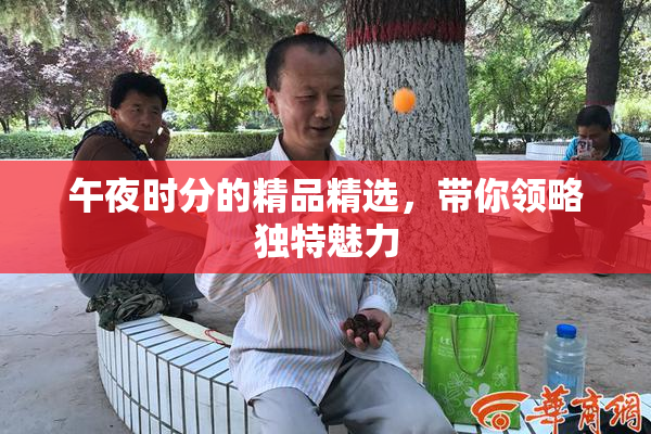 午夜时分的精品精选，带你领略独特魅力