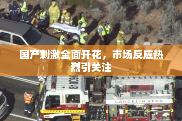 国产刺激全面开花，市场反应热烈引关注