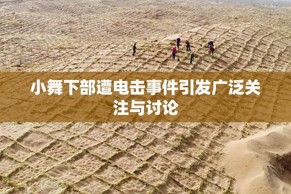 小舞下部遭电击事件引发广泛关注与讨论