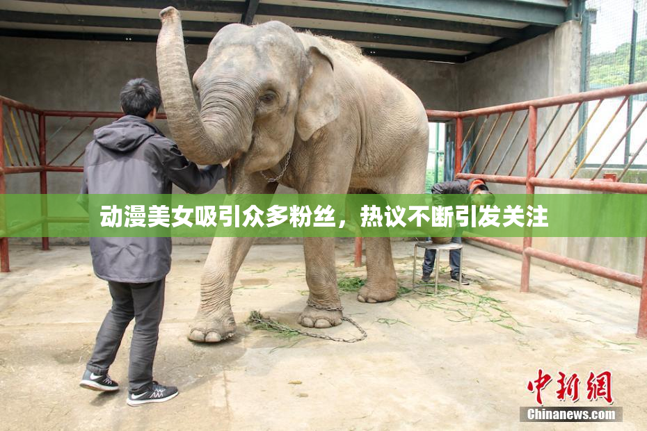 动漫美女吸引众多粉丝，热议不断引发关注