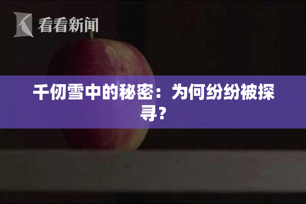 千仞雪中的秘密：为何纷纷被探寻？