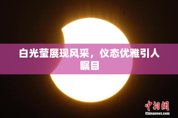 白光莹展现风采，仪态优雅引人瞩目