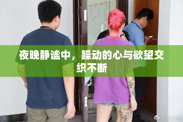 夜晚静谧中，躁动的心与欲望交织不断