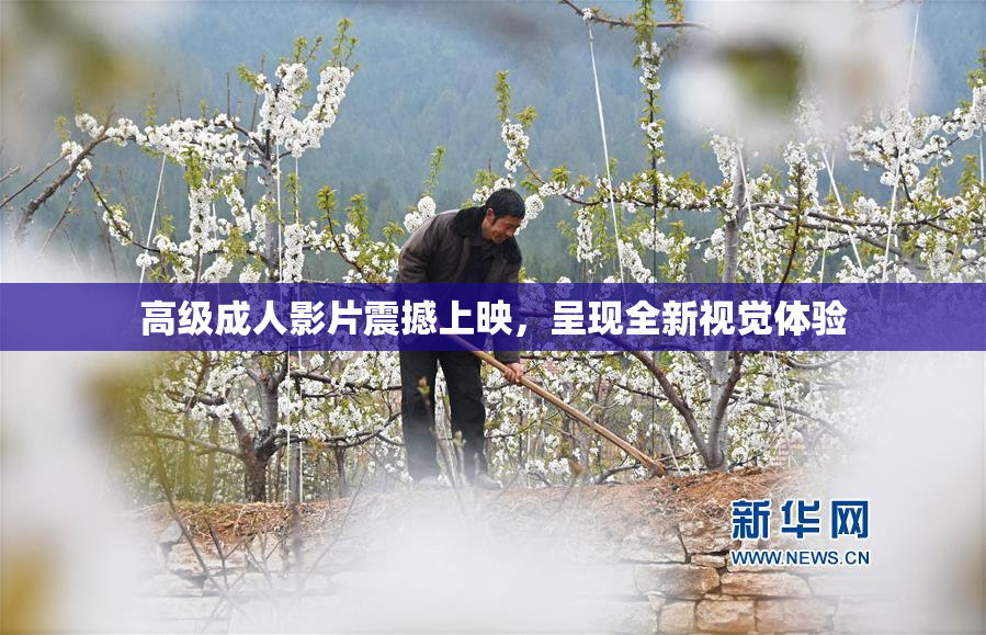 高级成人影片震撼上映，呈现全新视觉体验