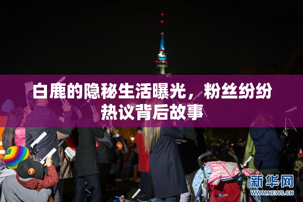 白鹿的隐秘生活曝光，粉丝纷纷热议背后故事