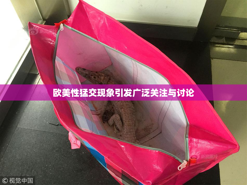欧美性猛交现象引发广泛关注与讨论