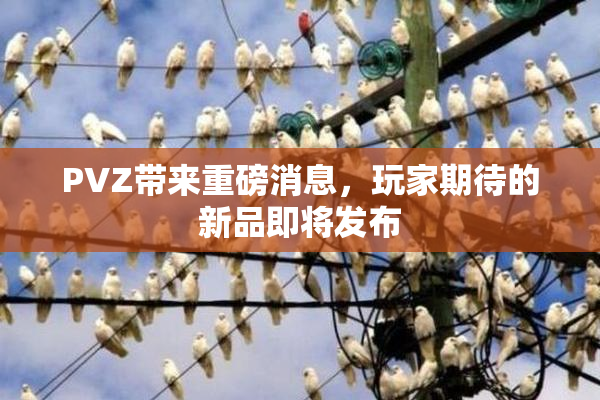 PVZ带来重磅消息，玩家期待的新品即将发布
